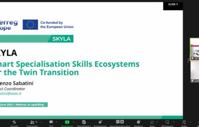 Successful webinar on Upskilling for Smart Specialisation Strategies
